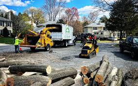 Best Lawn Maintenance Plans  in Chesapeake Beach, MD
