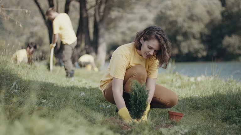 Best Soil Testing and Treatment  in Chesapeake Beach, MD